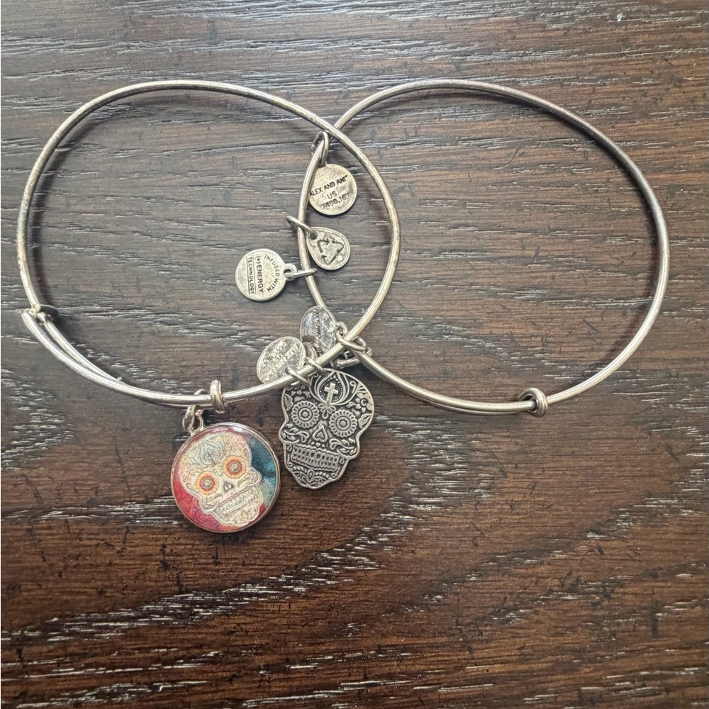 Alex and Ani Silver Calavera Charm Bracelets